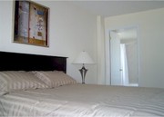 Spacious and Stylish Fully FURNISHED One-Bedroom Rental Condo